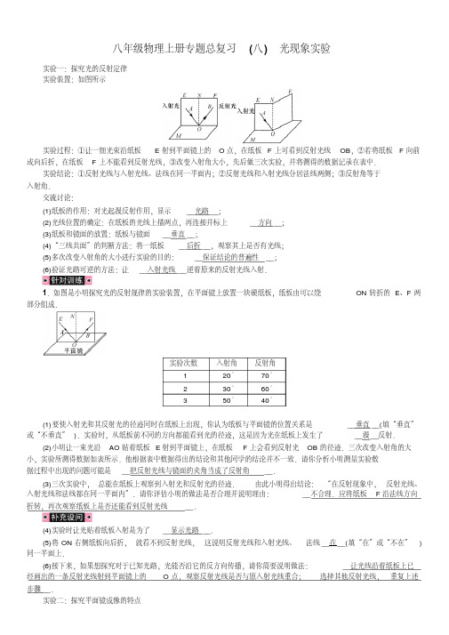 八年级物理上册专题总复习(八)光现象实验