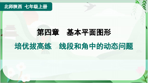 2024年北师大版七年级上册数学复习培优拔高练 线段和角中的动态问题