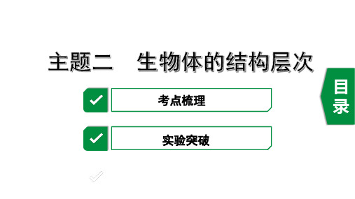 2020年福建中考生物复习主题二 生物体的结构层次