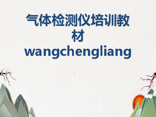 气体检测仪培训教材wangchengliang