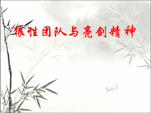狼性团队与亮剑精神 PPT