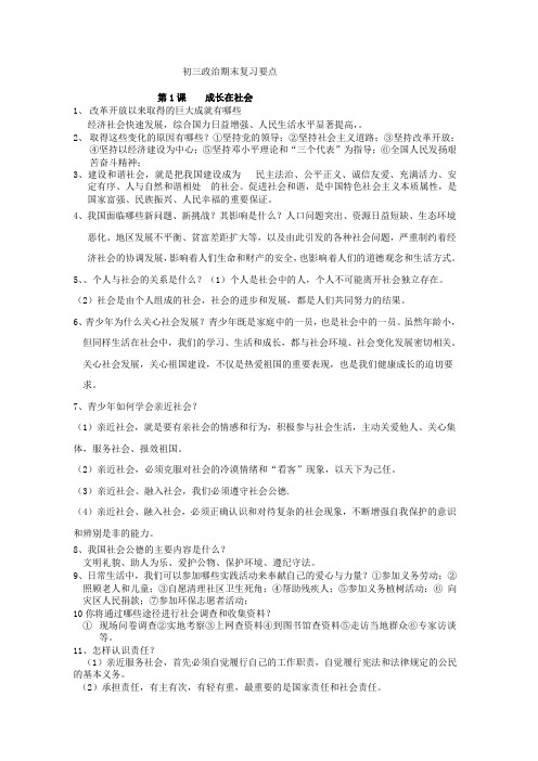 苏教版初三政治期末复习要点