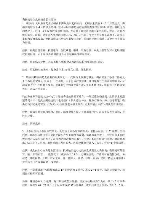 狗狗的寄生虫病的症状与防治