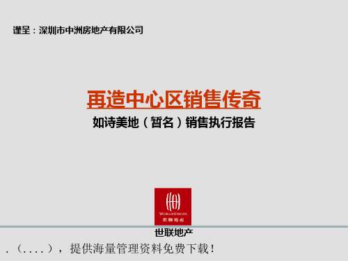 某项目销售执行报告