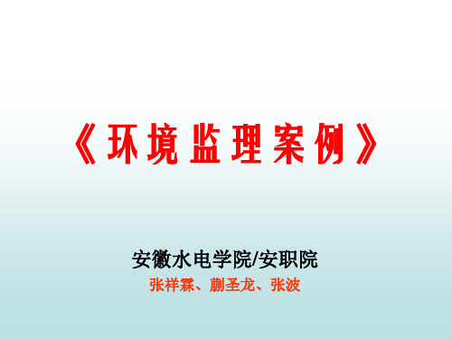 环境监理案例