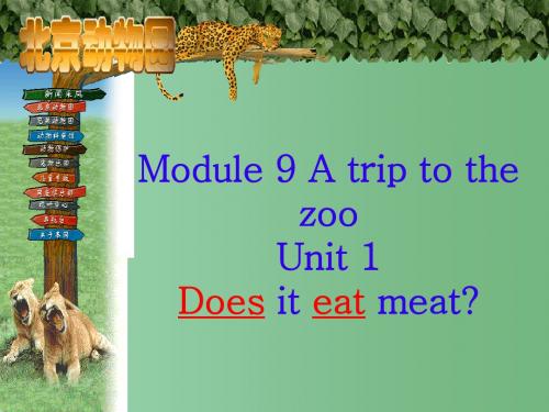 七年级英语上册 Module 6 A trip to the zoo Unit 1 Does it eat meat课件1 (新版)外研版