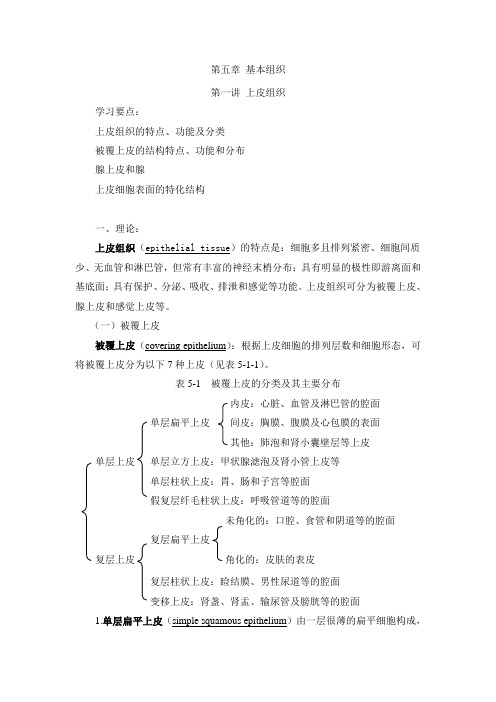 第1讲 上皮组织讲义