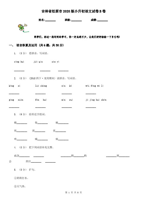 吉林省松原市2020版小升初语文试卷B卷