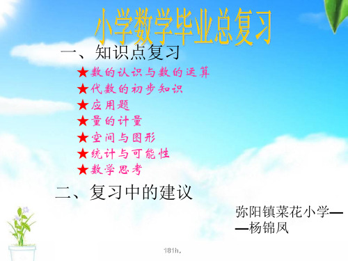 计划小学六年级数学总复习.ppt