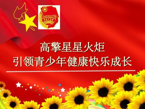 创建红领巾示范校