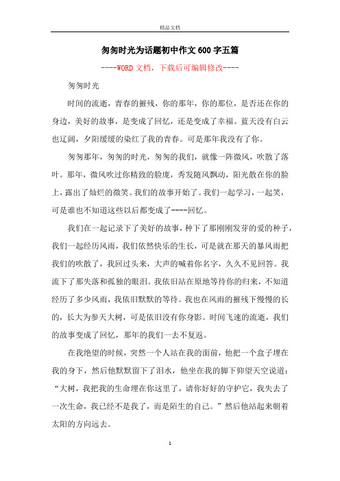 匆匆时光为话题初中作文600字五篇