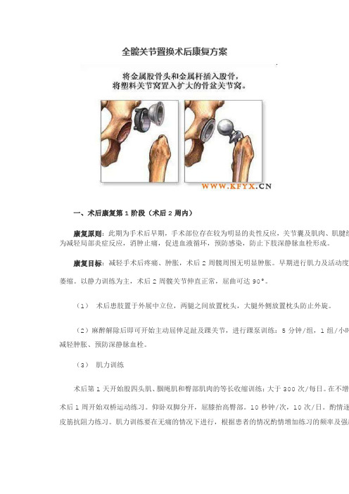 全髋关节置换术后康复方案