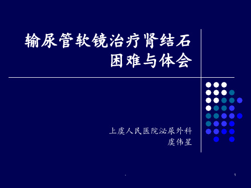 输尿管软镜治疗肾结石的困难与体会PPT课件