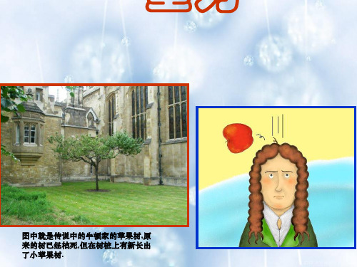 《重力》教学课件 人教版
