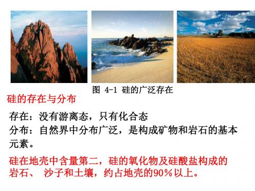 第一节硅PPT课件