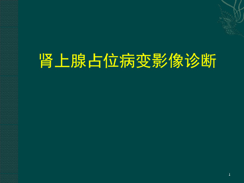 肾上腺占位病变PPT参考课件