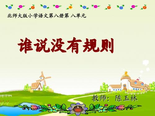 谁说没有规则 公开课教学设计 全新精心制作 教案课件同名