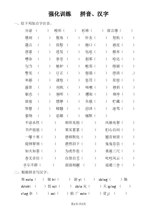 六年级下册语文试题小升初语文专项集训拼音汉字练习∣通用版