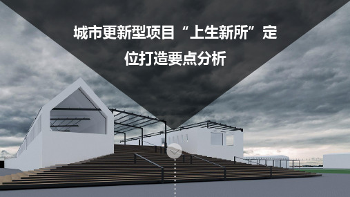 城市更新型项目上生新所专题研究2018.08.29