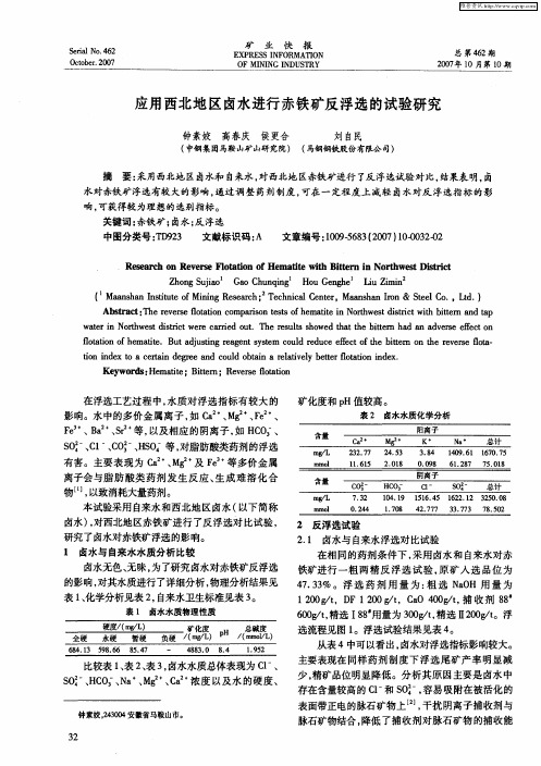 应用西北地区卤水进行赤铁矿反浮选的试验研究