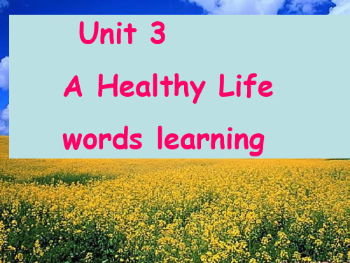 人教高中英语选修六unit3A Healthy Life单词(共41张PPT)