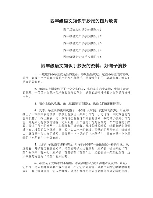 四年级语文知识手抄报的模板