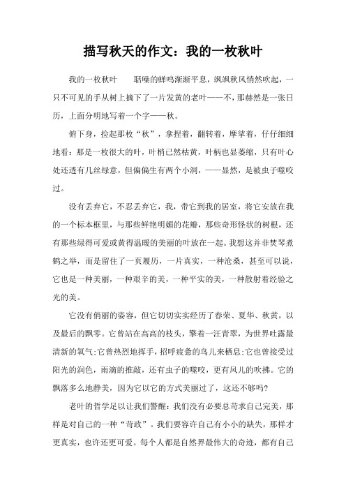 描写秋天的作文：我的一枚秋叶