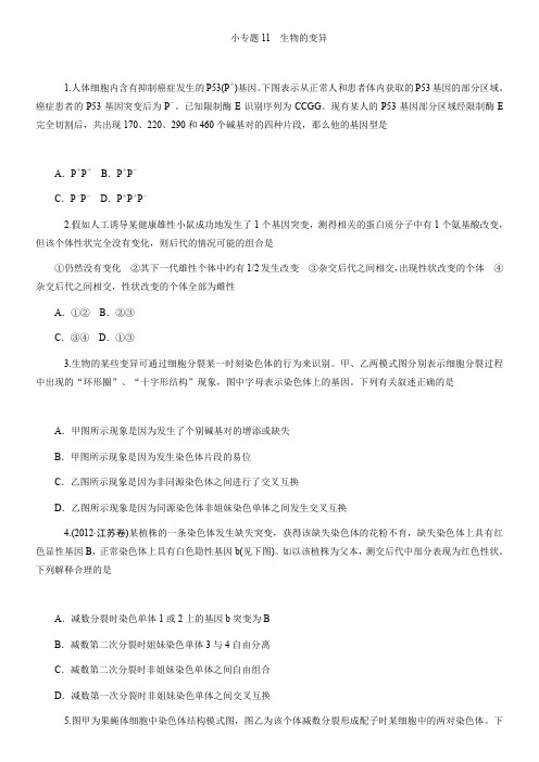 【二轮推荐】2013届高中新课标生物二轮总复习(湖南用)限时训练11生物的变异.DOC