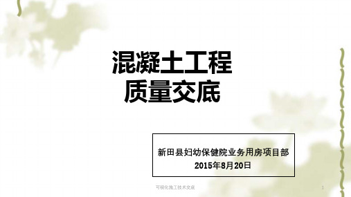 可视化施工技术交底PPT课件