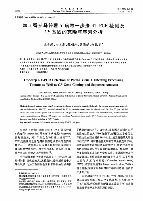 加工番茄马铃薯Y病毒一步法RT—PCR检测及CP基因的克隆与序列分析