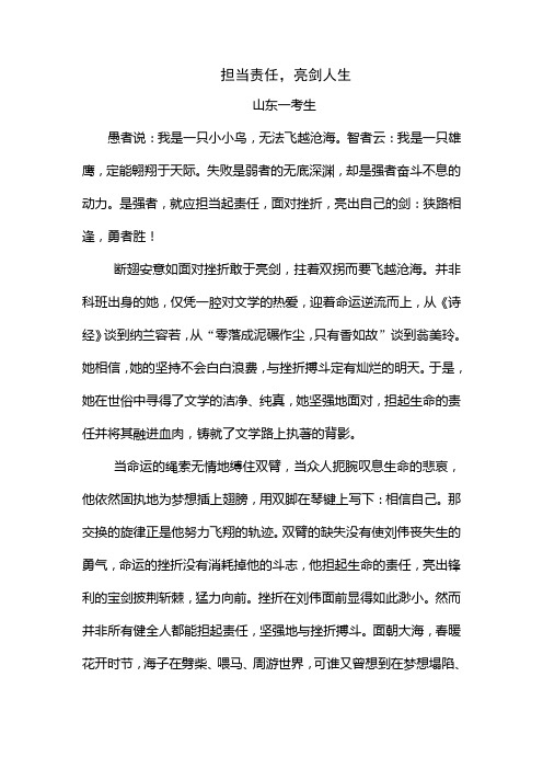 担当责任,亮剑人生