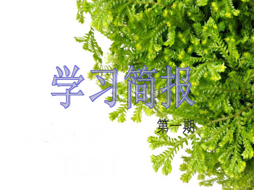 小学语文学习简报