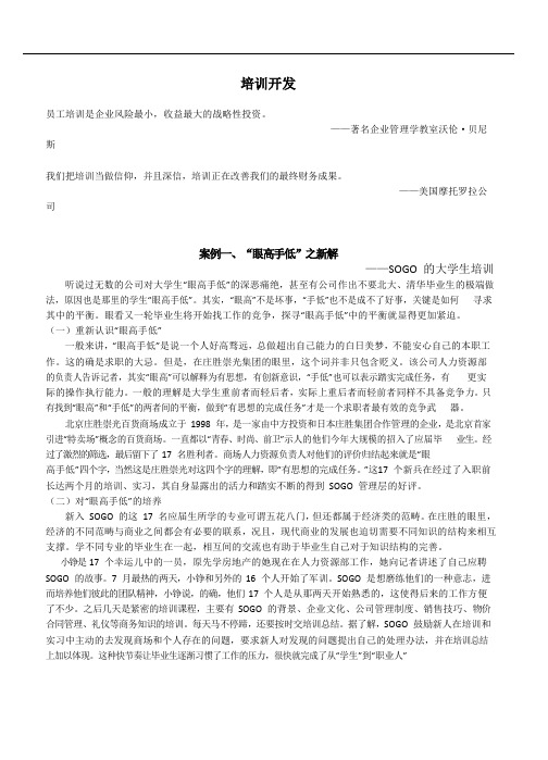 培训开发案例