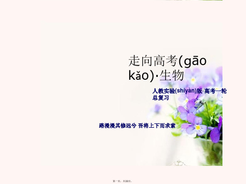 高考生物一轮总复习 生物变异、育种与进化单元整合提升课件 新人教版必修2