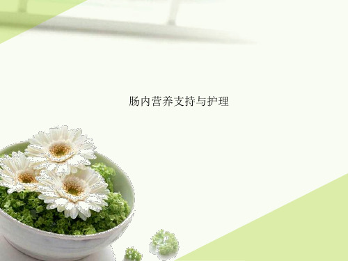 肠内营养支持与护理