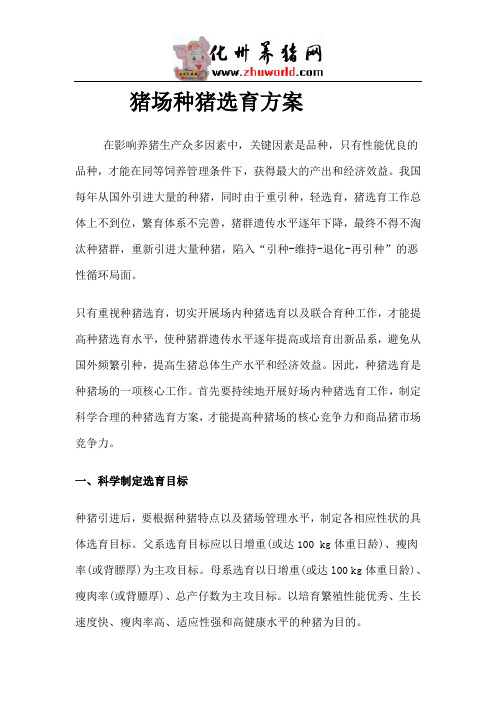 猪场里种猪选育方案