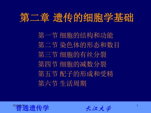 第二章遗传的细胞学基础
