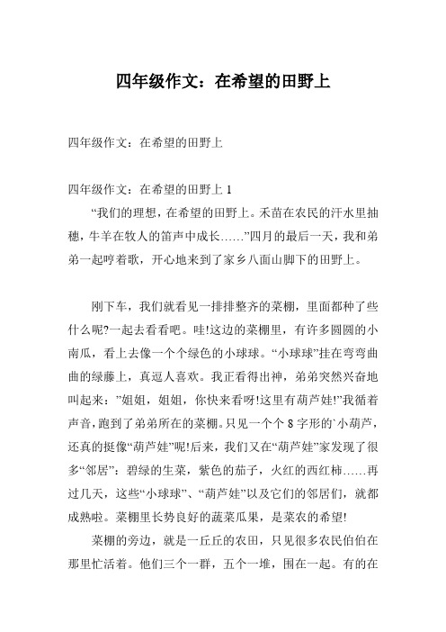 四年级作文：在希望的田野上