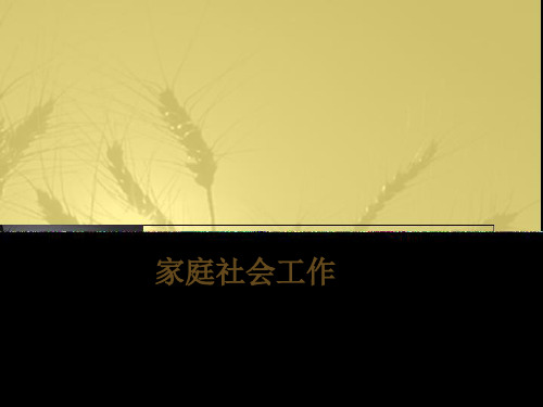 第十章 家庭社会工作
