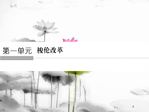 高中历史 第1单元 梭伦改革 第1课 雅典城邦的兴起课件 新人教版选修1.pptx