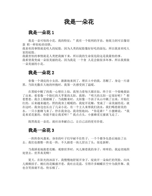 我是一朵花