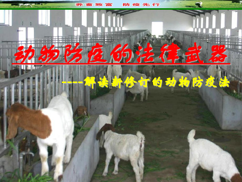 2 解读新动物防疫法