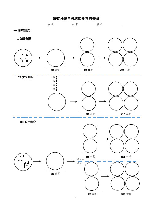 减数分裂与可遗传变异的关系
