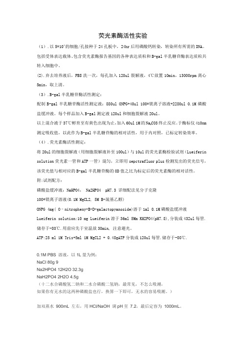 荧光素酶活性实验
