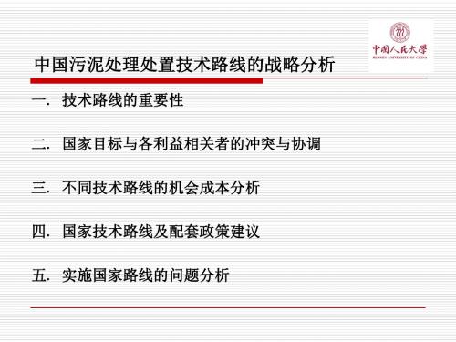 中国污泥处理处置技术路线-文档资料