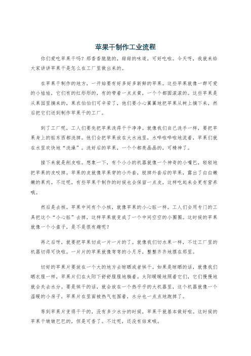 苹果干制作工业流程