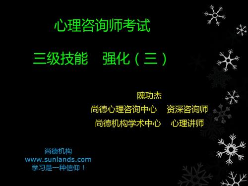 2013.5心理咨询师考试 三级技能 强化(三)