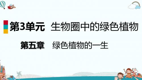 七年级生物第五章第二节 植物根的生长