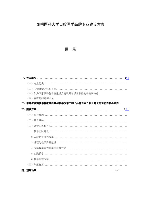 “专业综合改革试点”项目建设方案