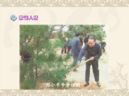 难忘的一天课件(PPT)用